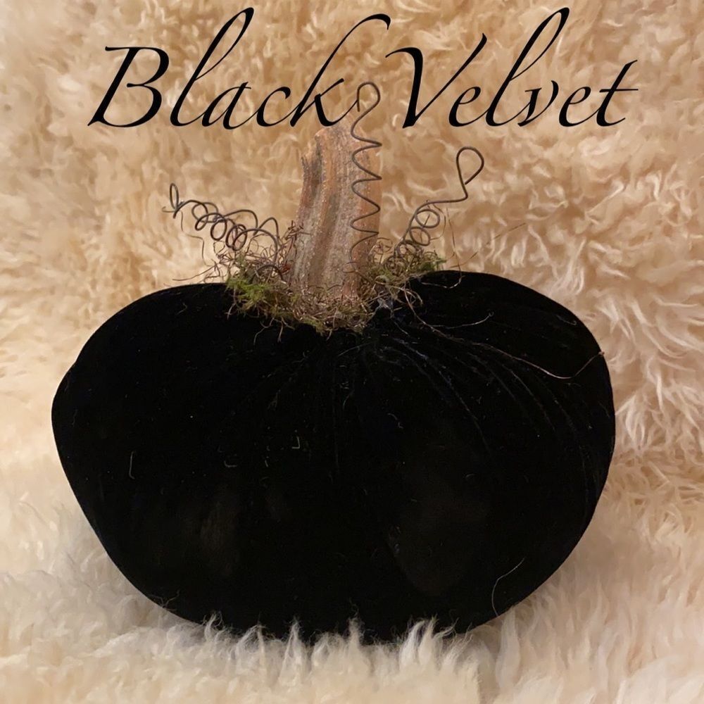 Handmade Fall Holiday Black genuine VELVET Pumpkin Decor
